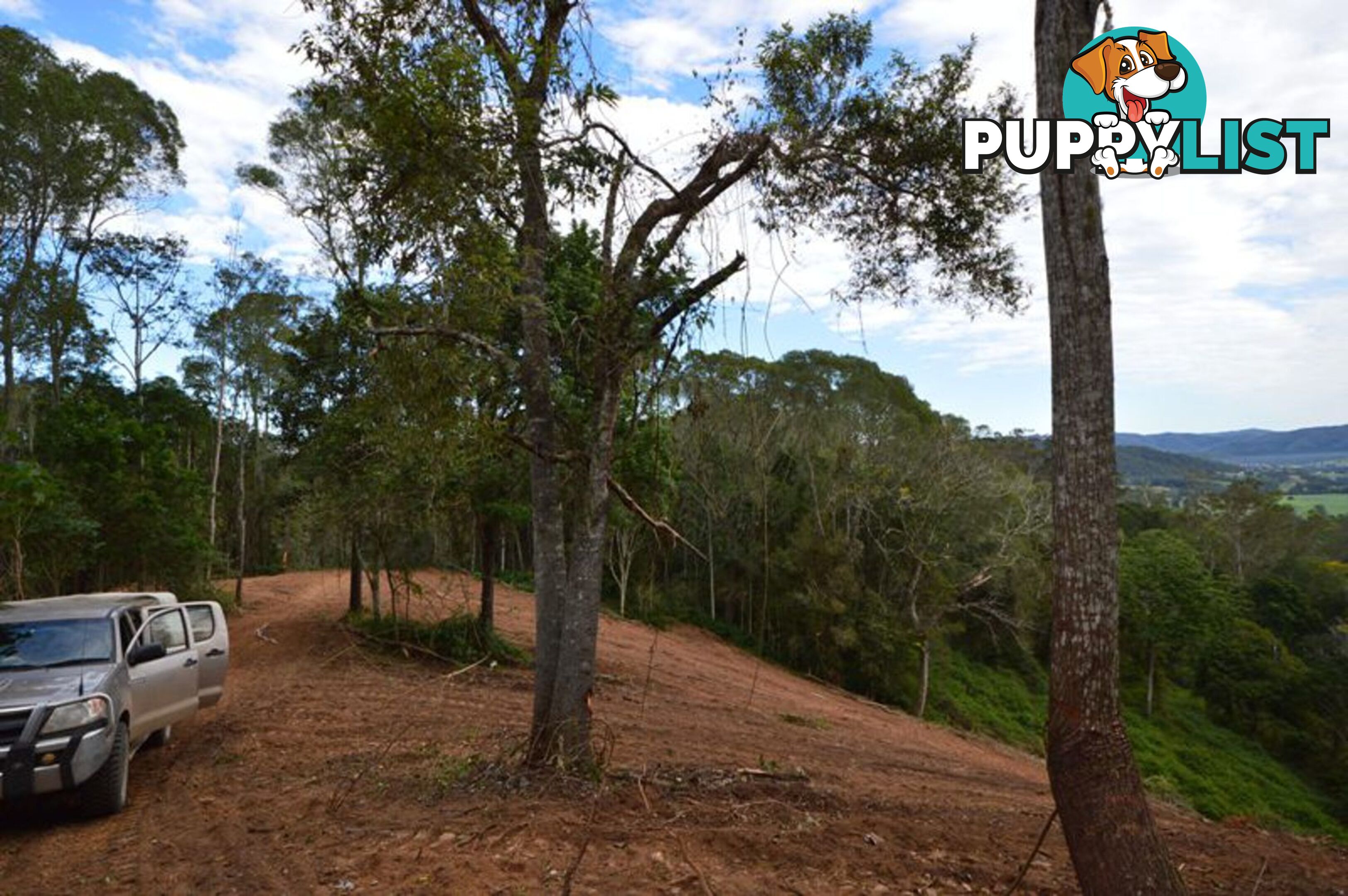 200 Hunsley Road KIDAMAN CREEK QLD 4574