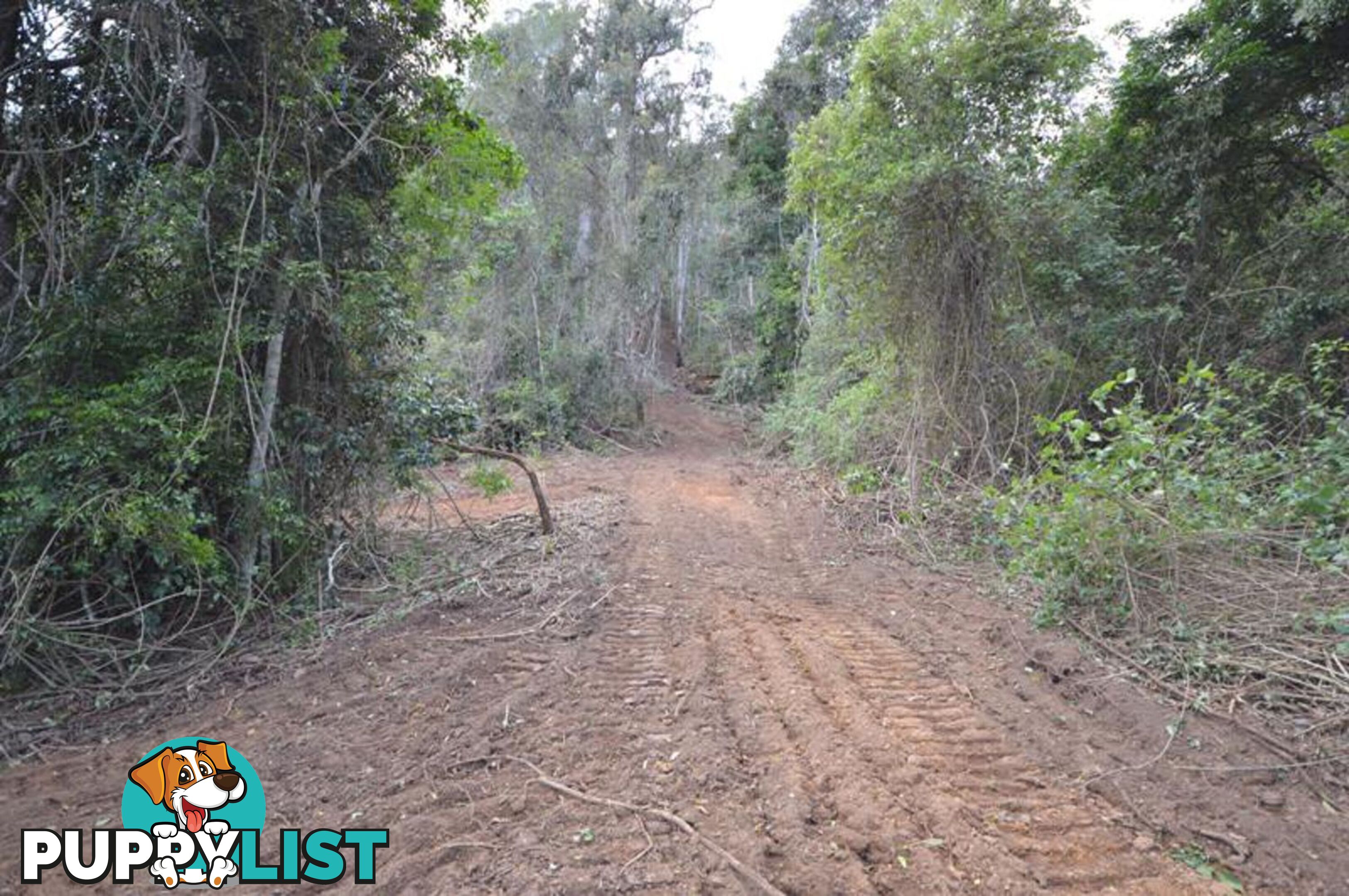 200 Hunsley Road KIDAMAN CREEK QLD 4574