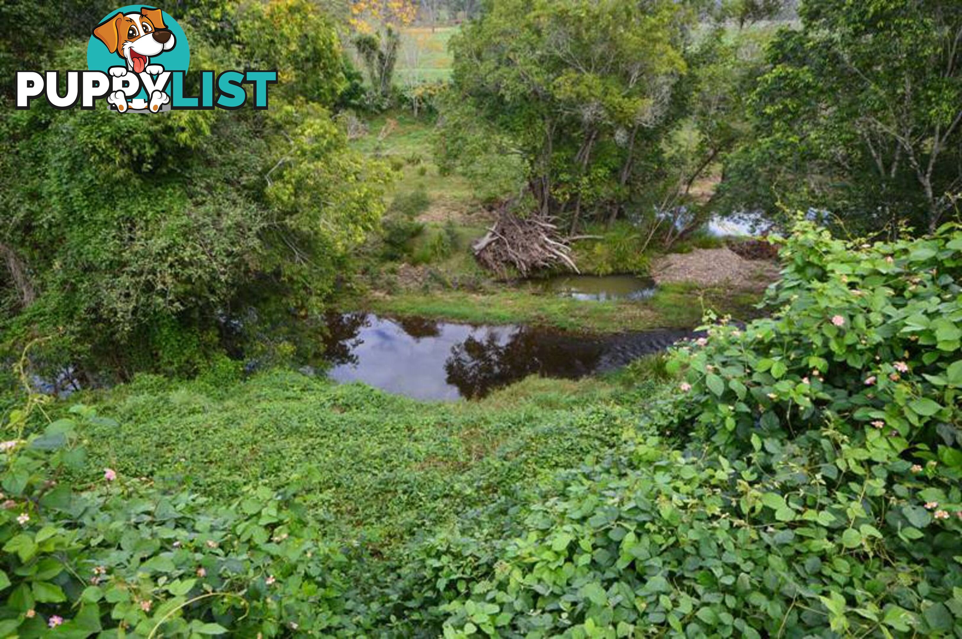 200 Hunsley Road KIDAMAN CREEK QLD 4574