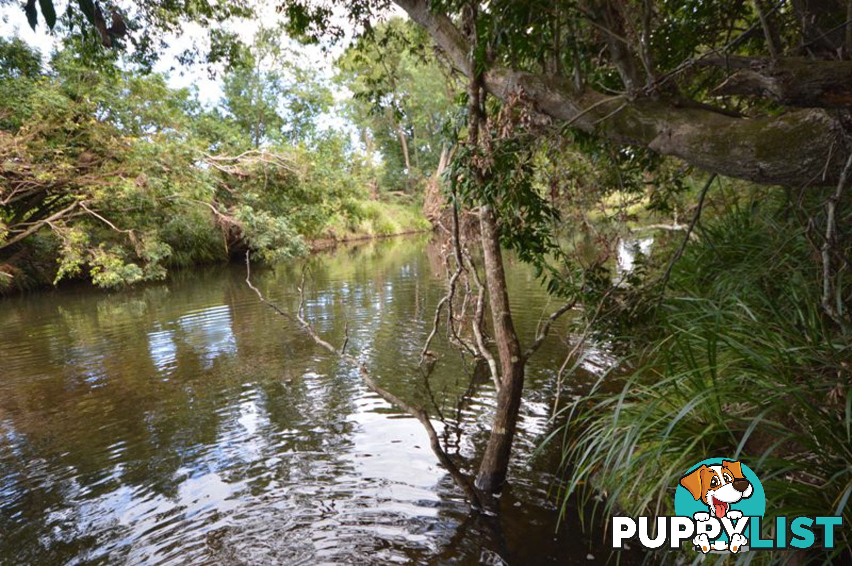 200 Hunsley Road KIDAMAN CREEK QLD 4574
