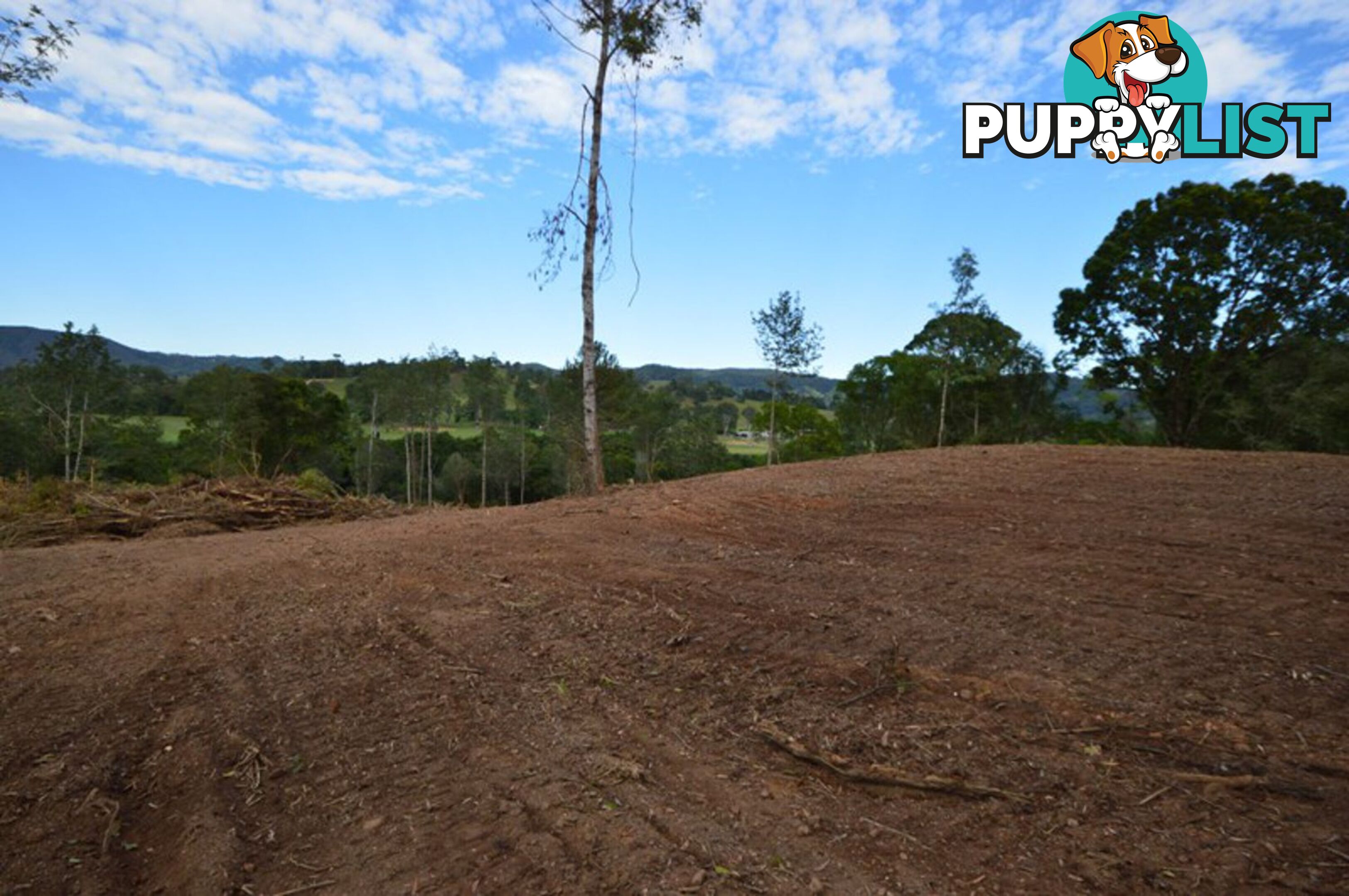 200 Hunsley Road KIDAMAN CREEK QLD 4574