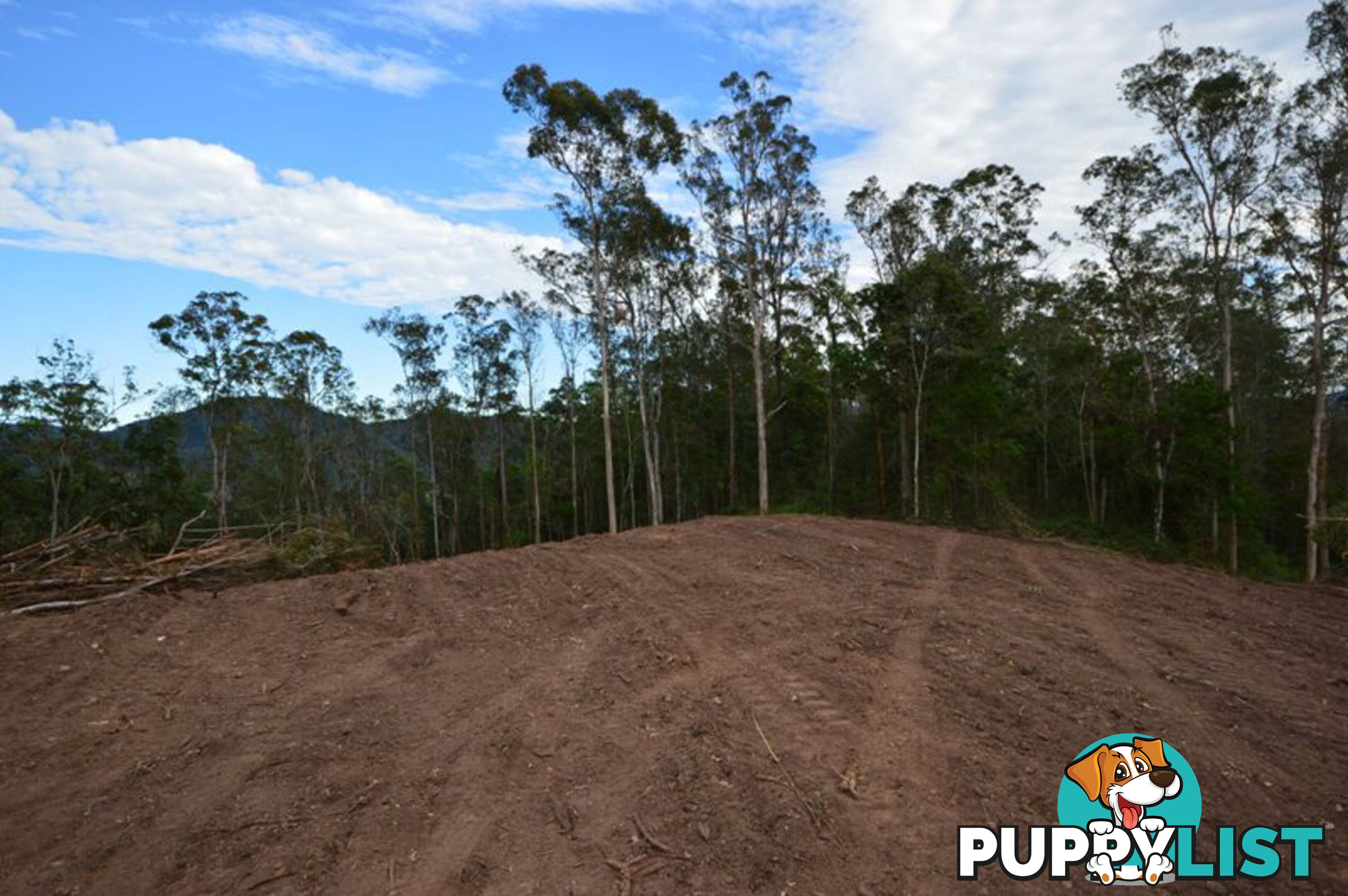 200 Hunsley Road KIDAMAN CREEK QLD 4574