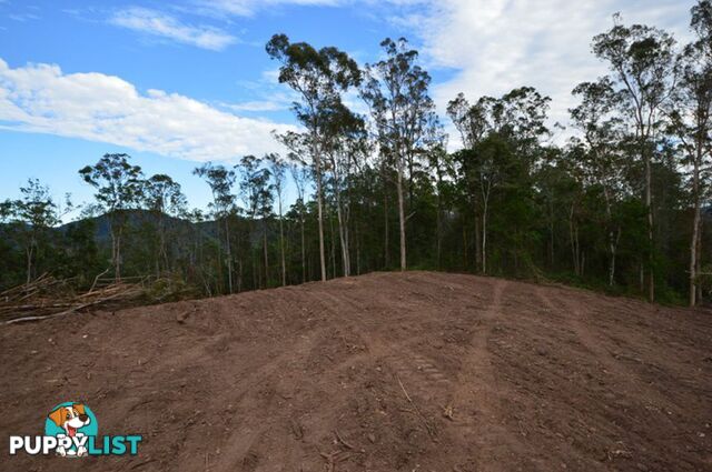 200 Hunsley Road KIDAMAN CREEK QLD 4574