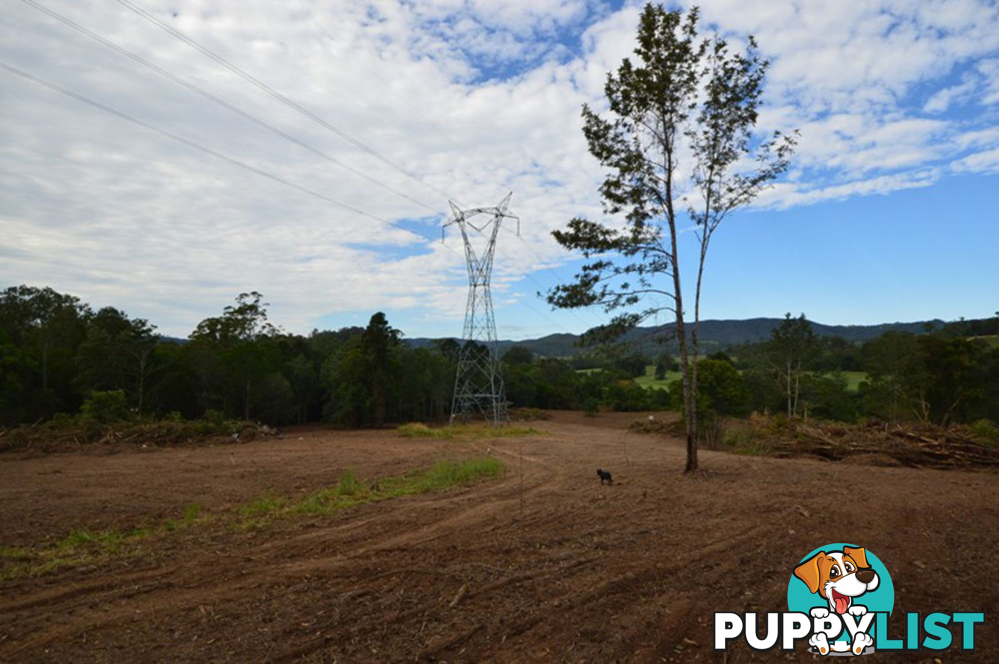 200 Hunsley Road KIDAMAN CREEK QLD 4574