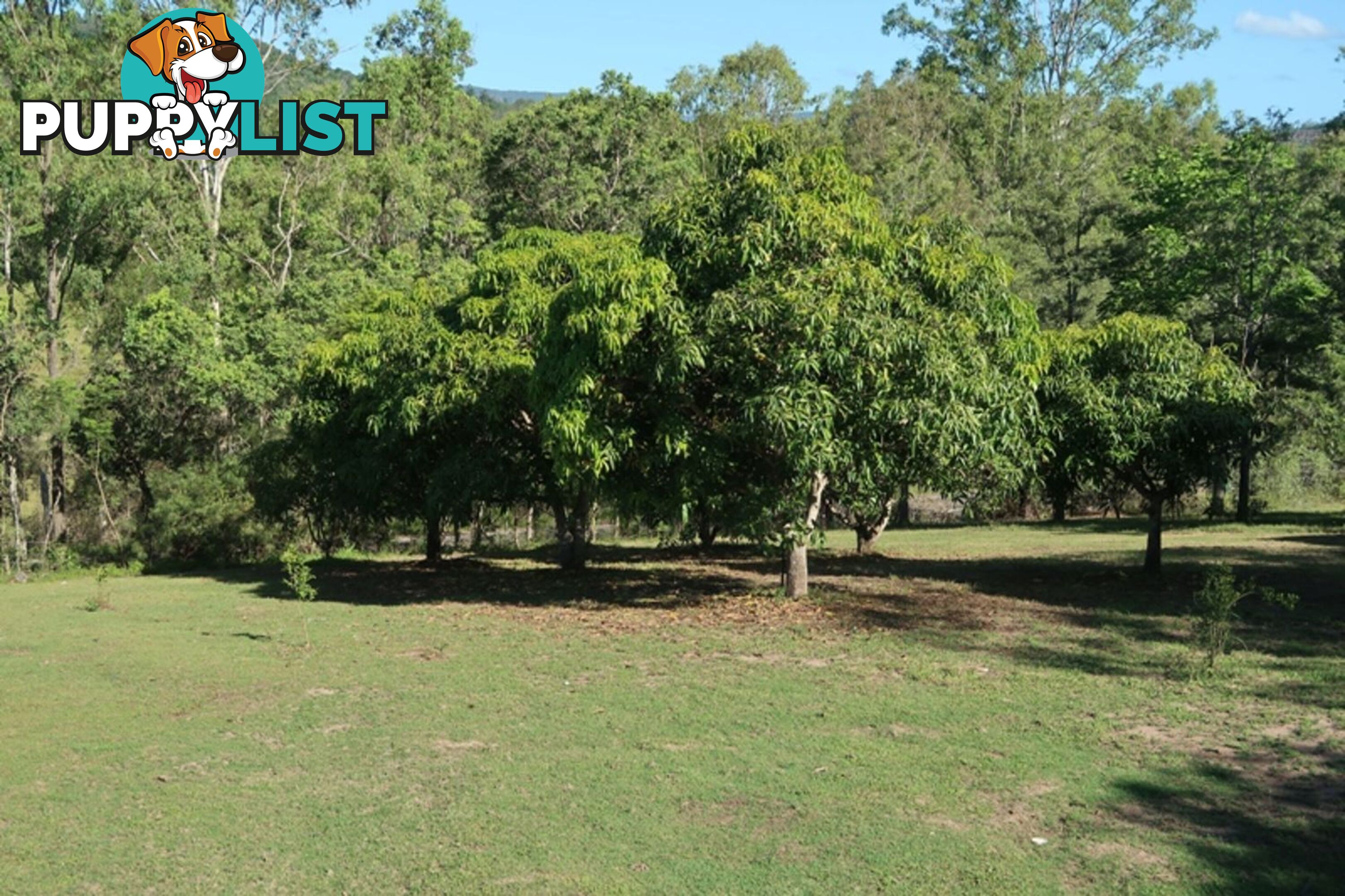 478 Moy Pocket Road MOY POCKET QLD 4574