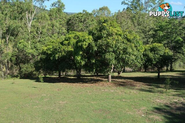 478 Moy Pocket Road MOY POCKET QLD 4574