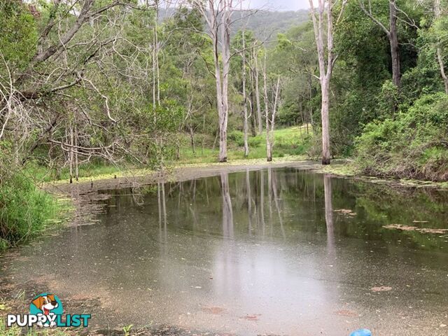 478 Moy Pocket Road MOY POCKET QLD 4574