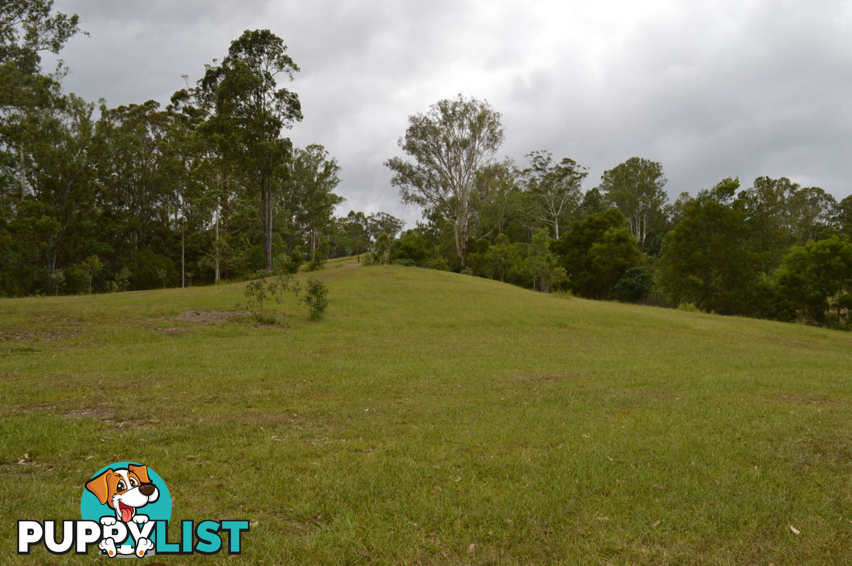 792 Maleny-Kenilworth Road ELAMAN CREEK QLD 4552