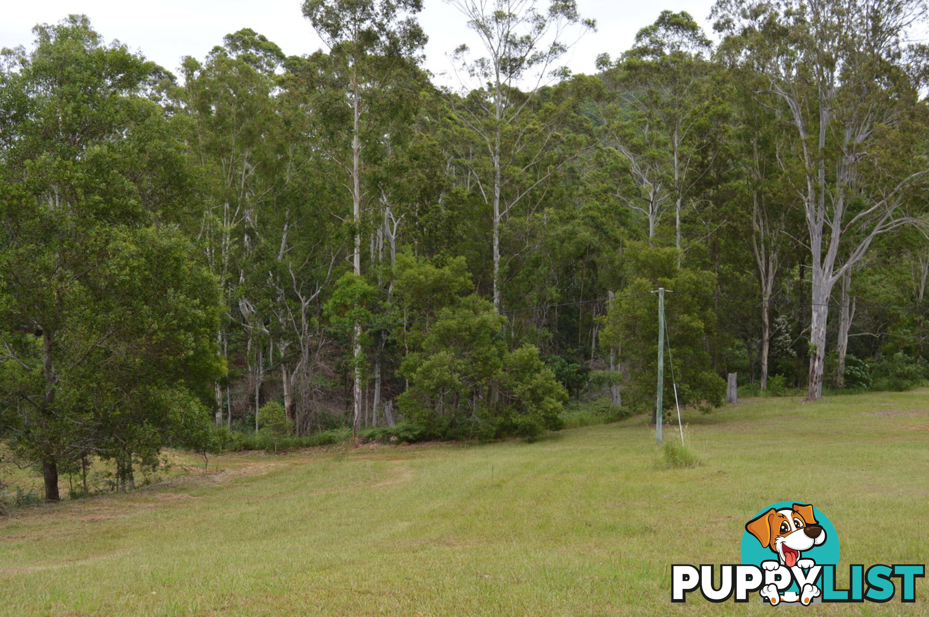 792 Maleny-Kenilworth Road ELAMAN CREEK QLD 4552