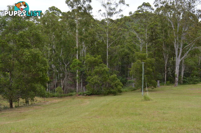 792 Maleny-Kenilworth Road ELAMAN CREEK QLD 4552