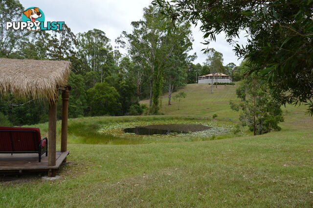 792 Maleny-Kenilworth Road ELAMAN CREEK QLD 4552