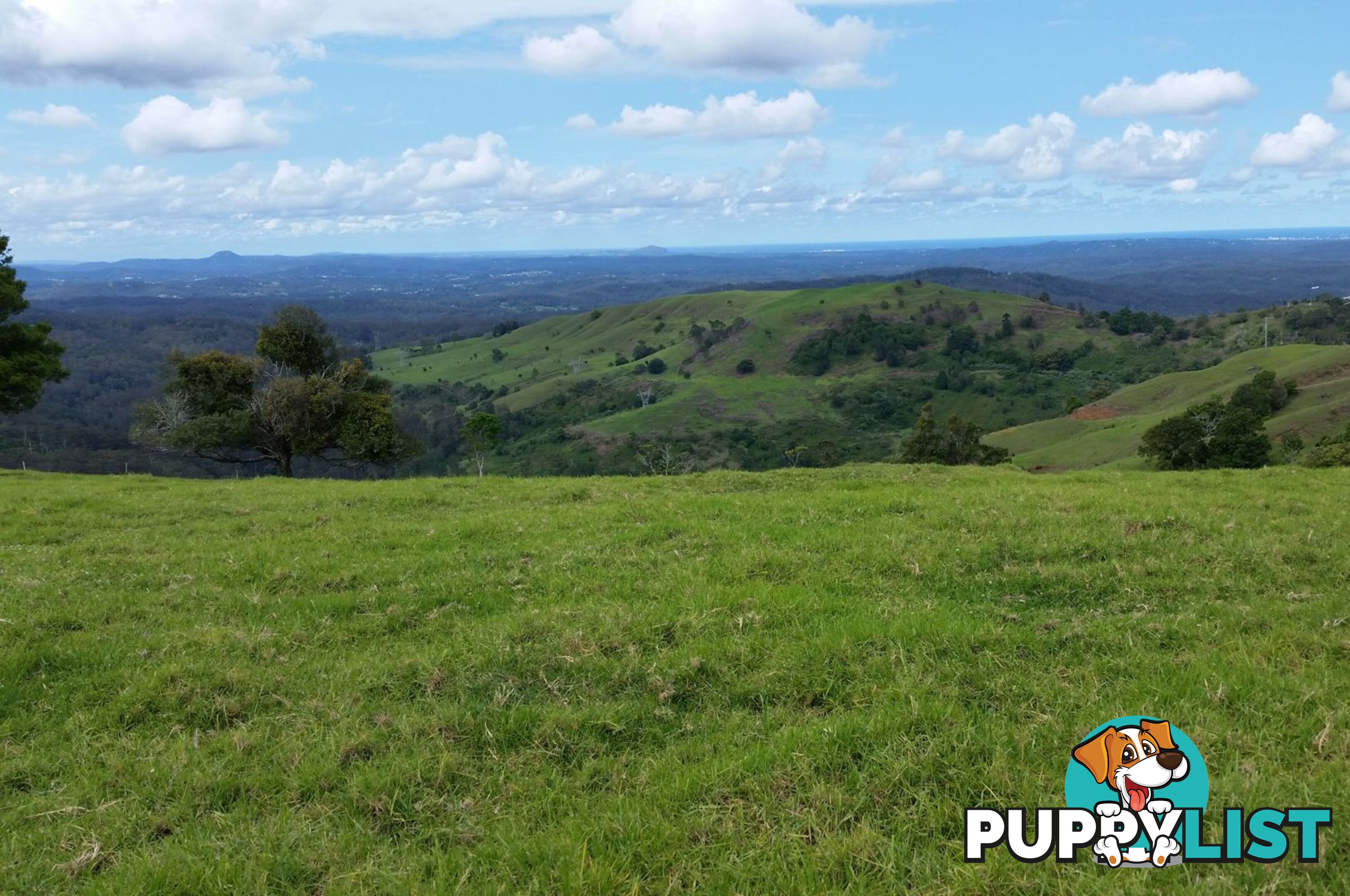 Lot 3 Landsborough Maleny Rd MALENY QLD 4552