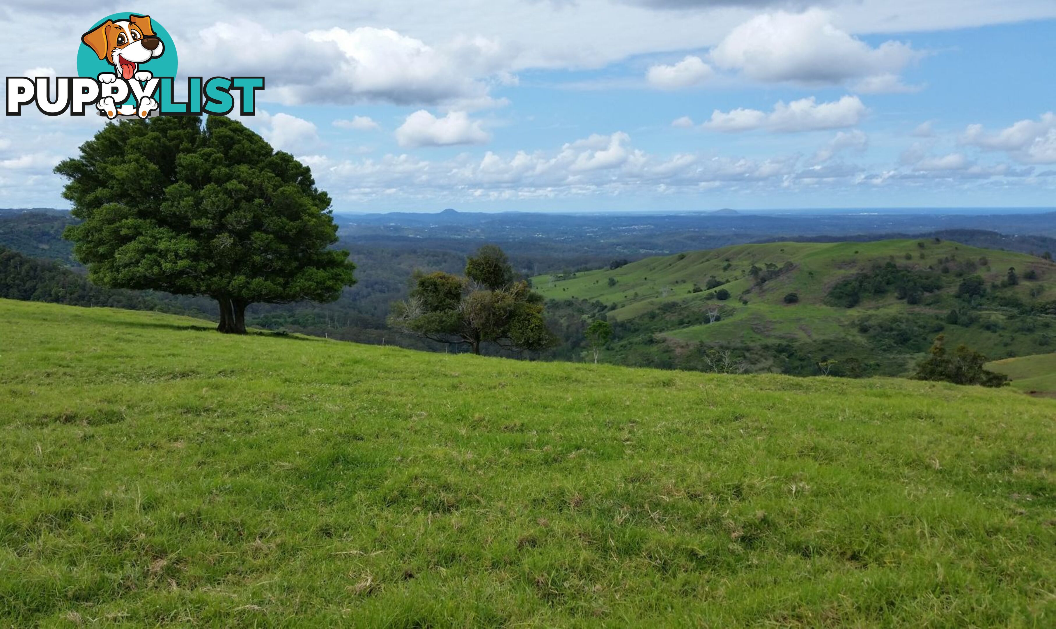 Lot 3 Landsborough Maleny Rd MALENY QLD 4552