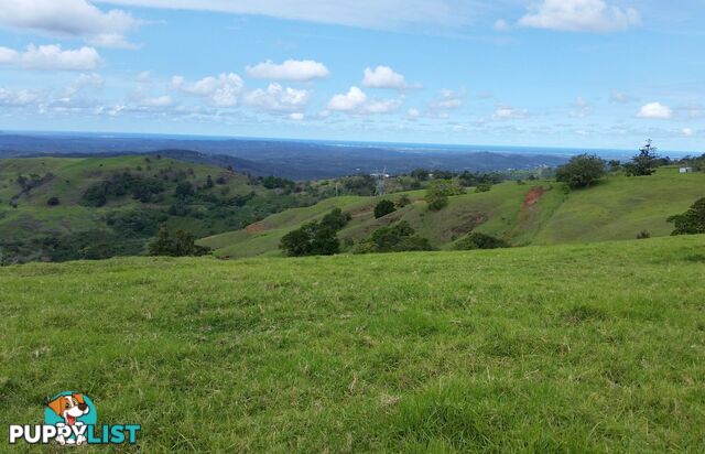 Lot 3 Landsborough Maleny Rd MALENY QLD 4552