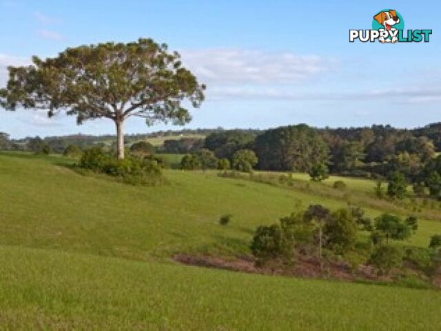 MALENY QLD 4552