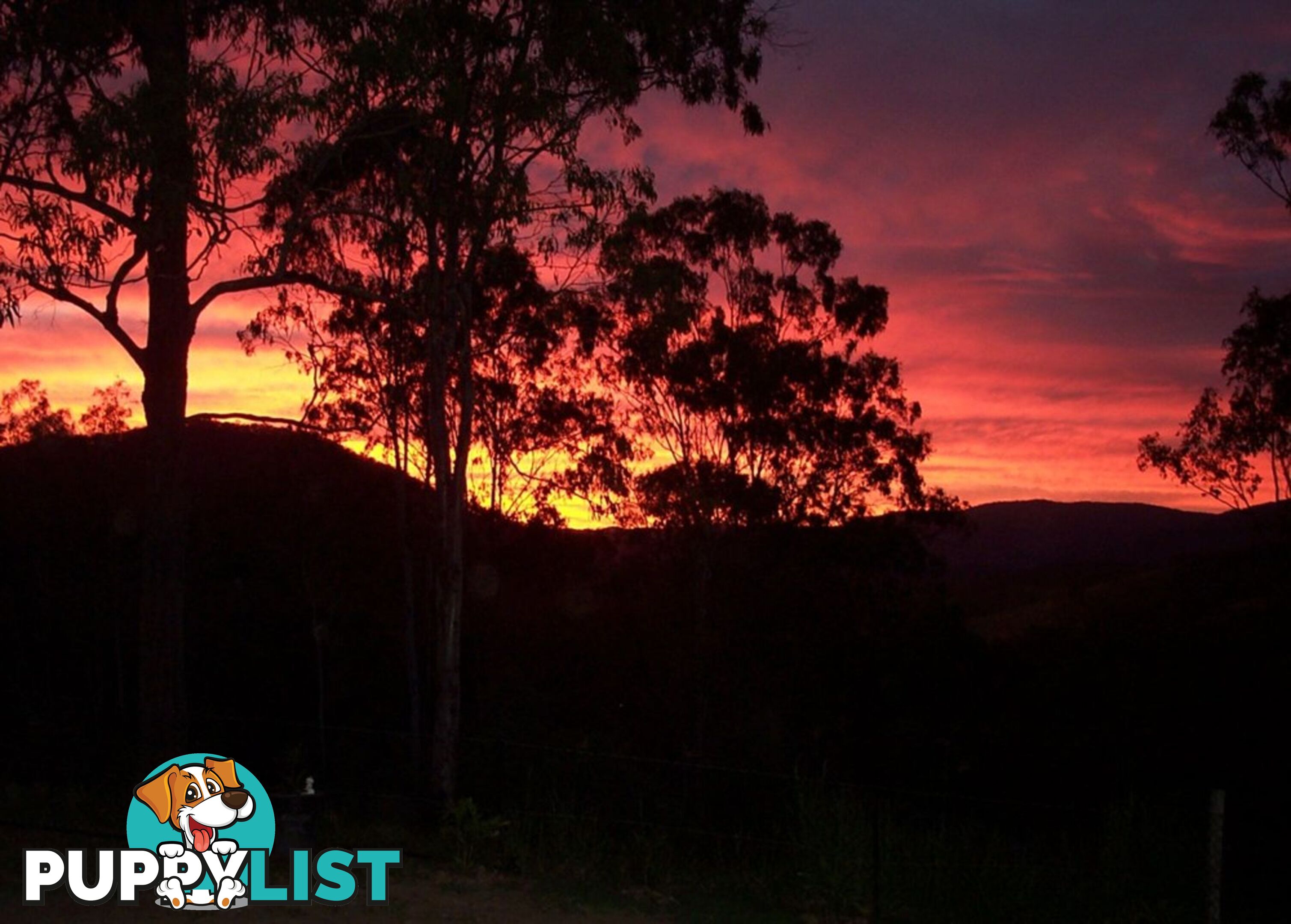 127 Appalossa Drive CONONDALE QLD 4552