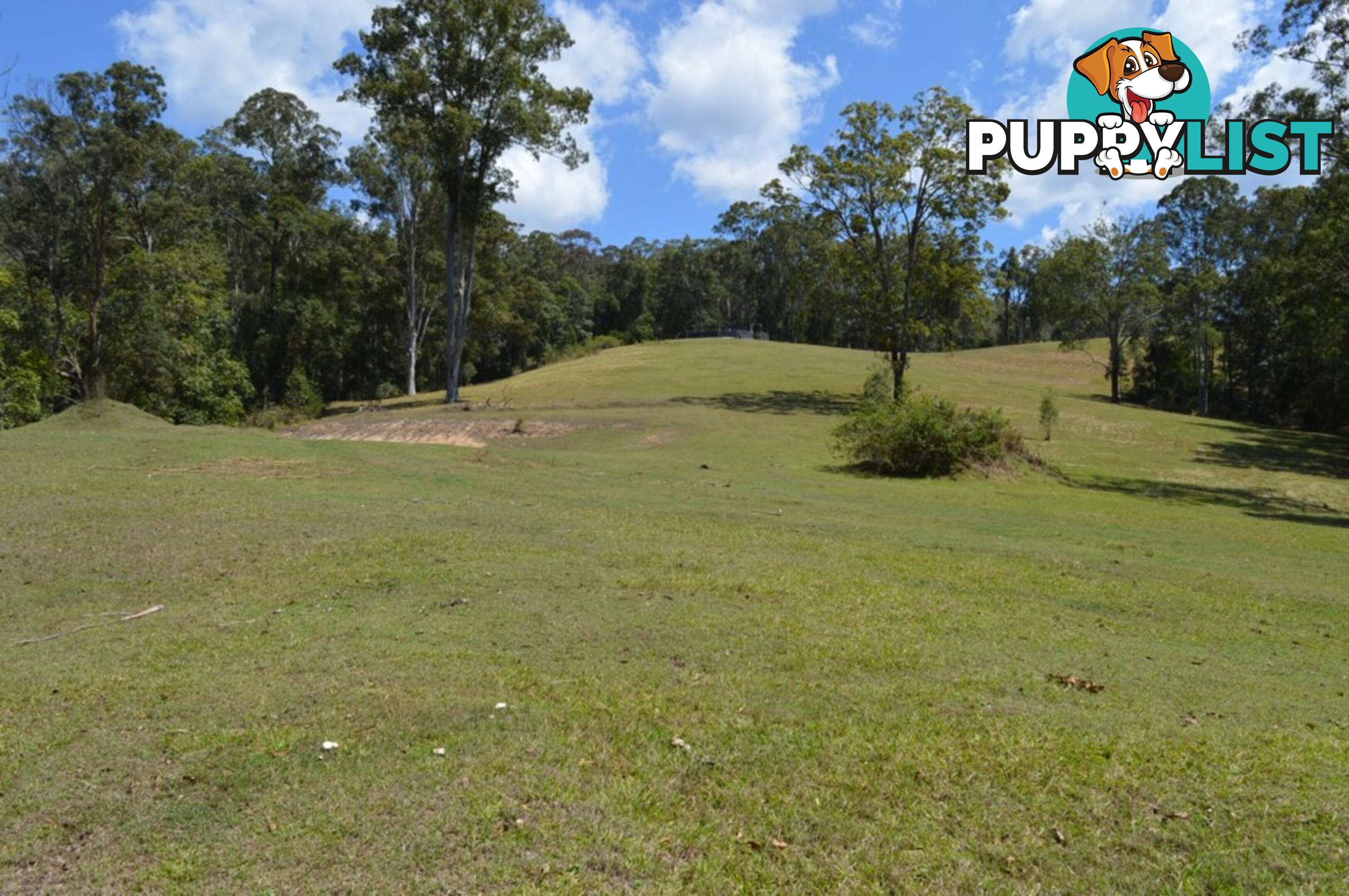 127 Appalossa Drive CONONDALE QLD 4552