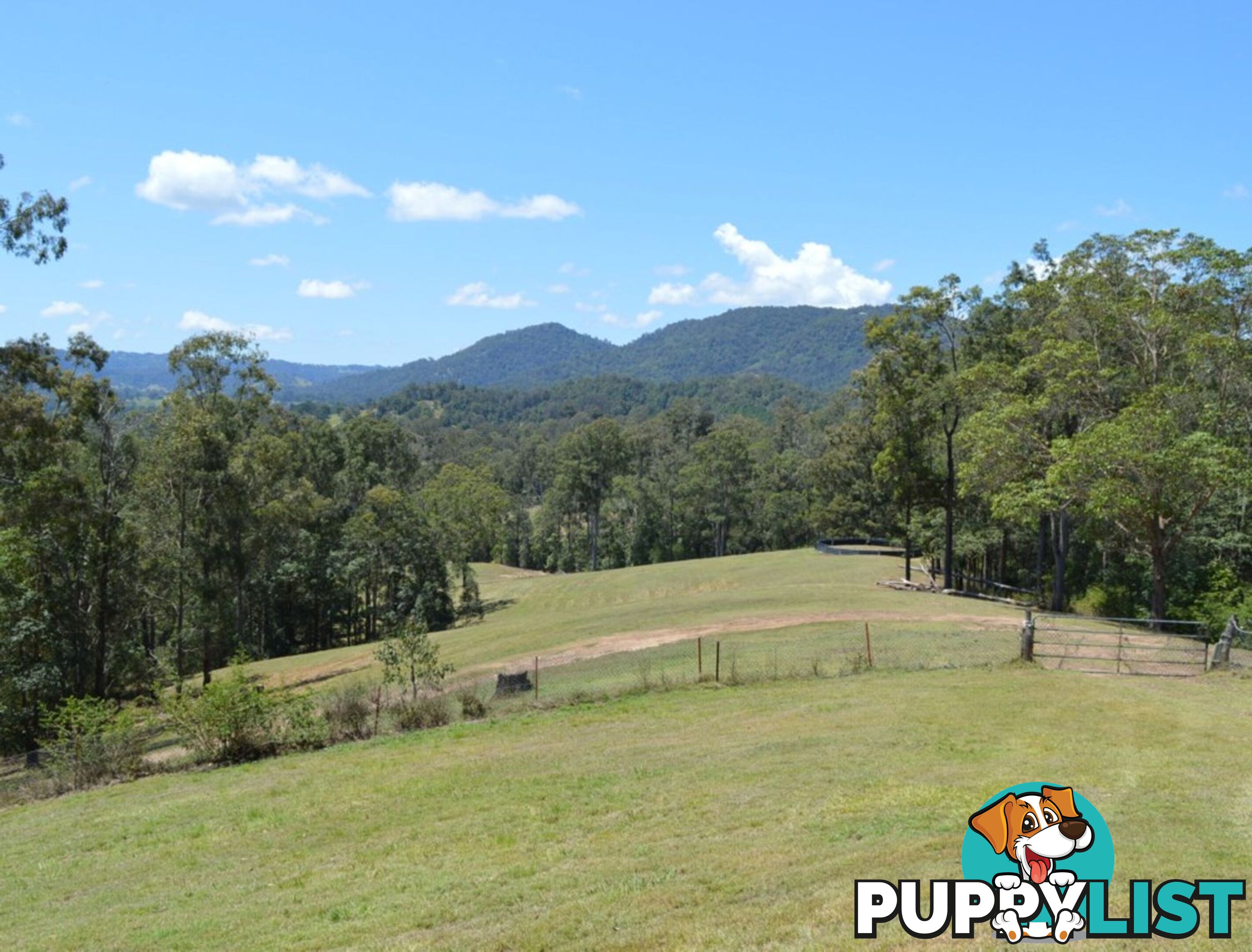 127 Appalossa Drive CONONDALE QLD 4552