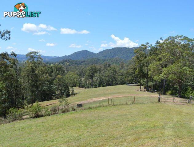 127 Appalossa Drive CONONDALE QLD 4552