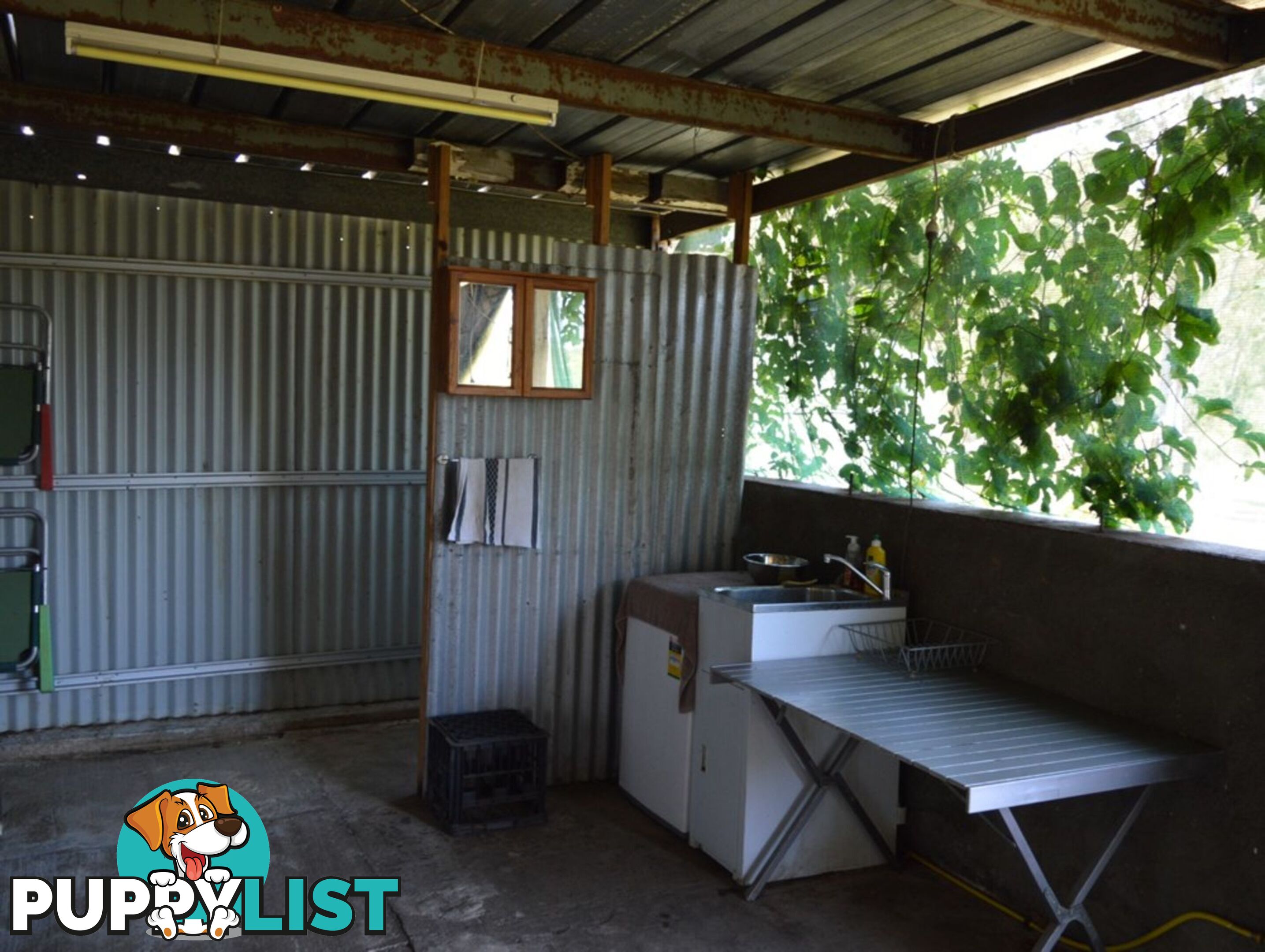 127 Appalossa Drive CONONDALE QLD 4552