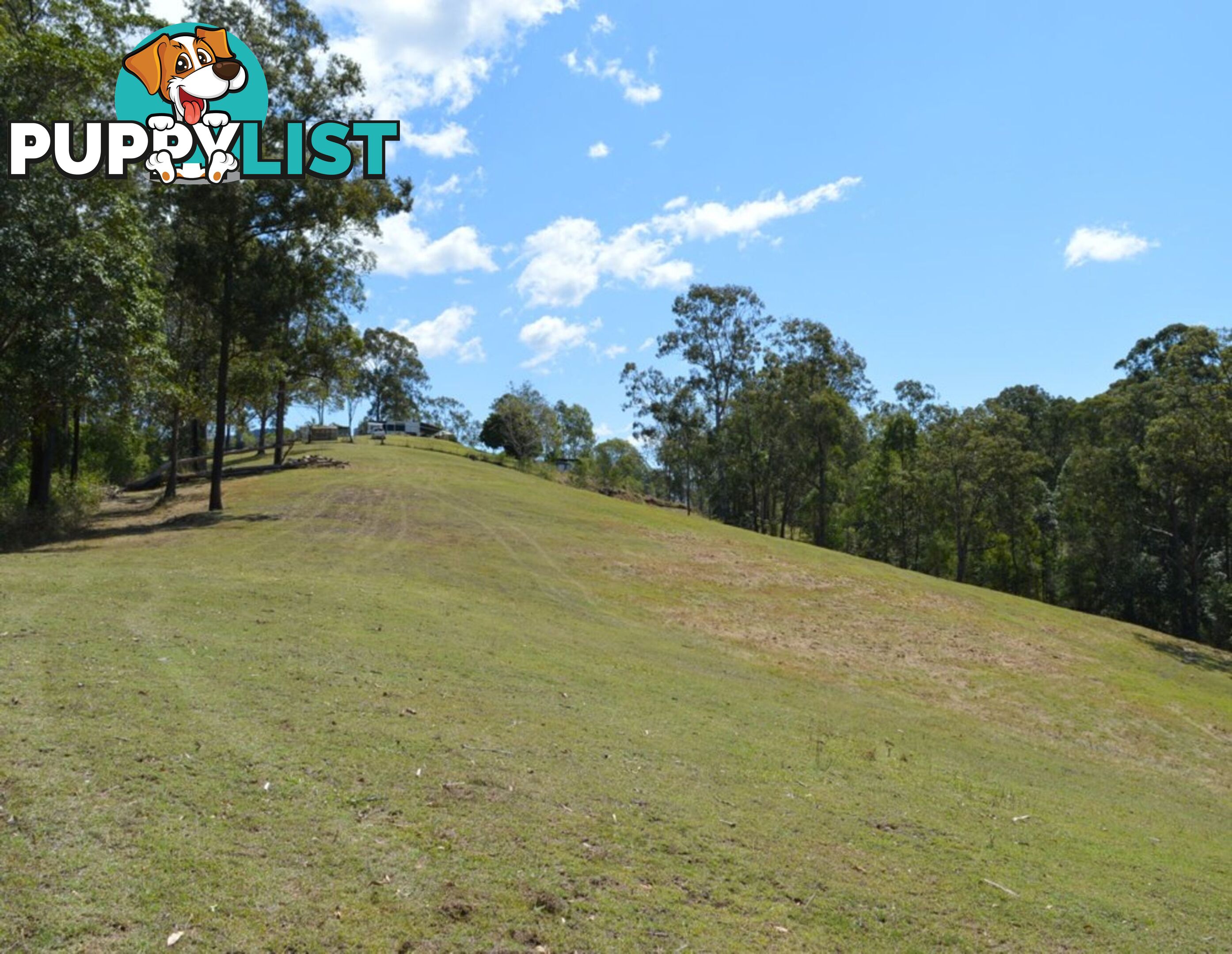 127 Appalossa Drive CONONDALE QLD 4552