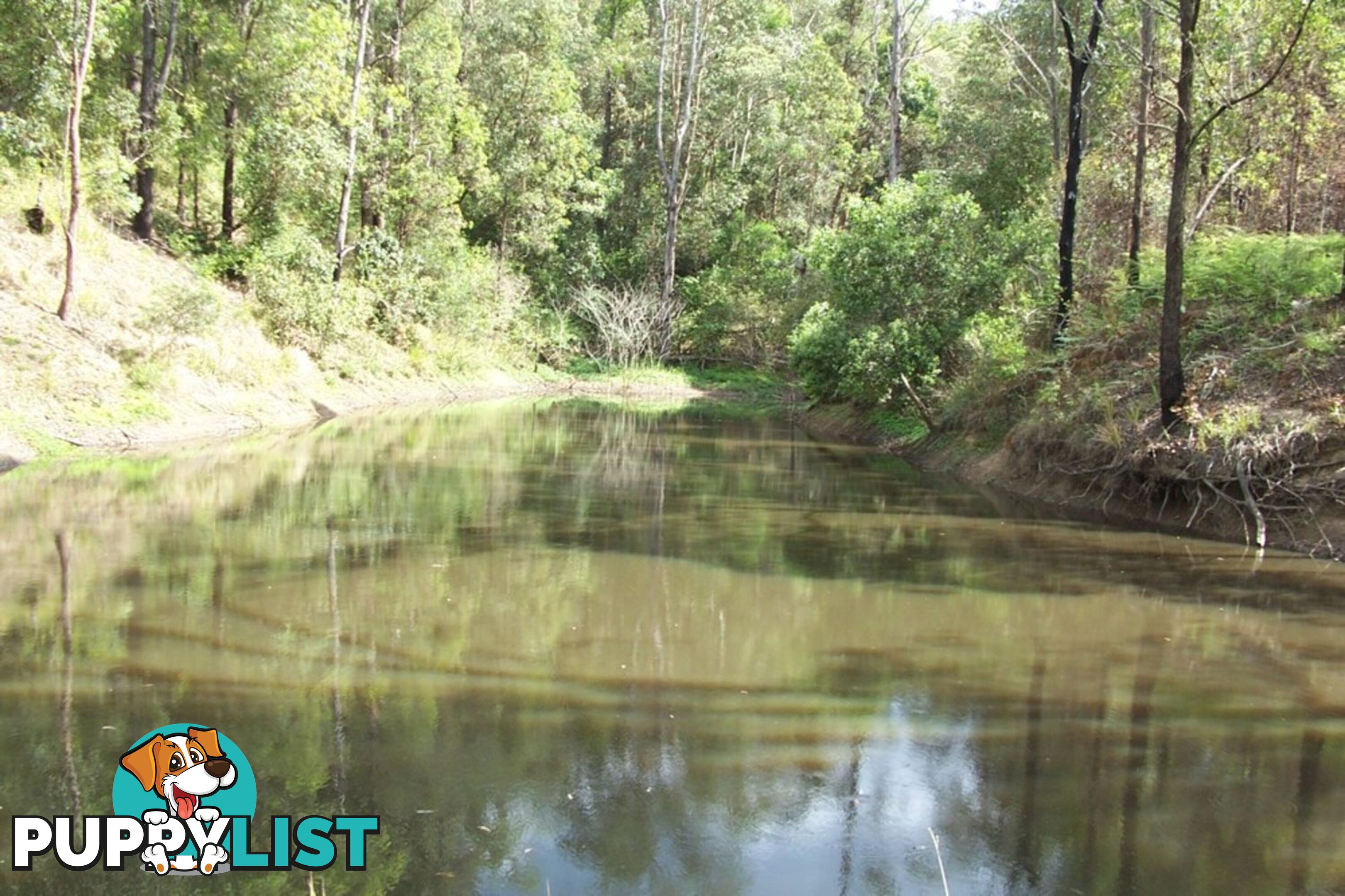 127 Appalossa Drive CONONDALE QLD 4552