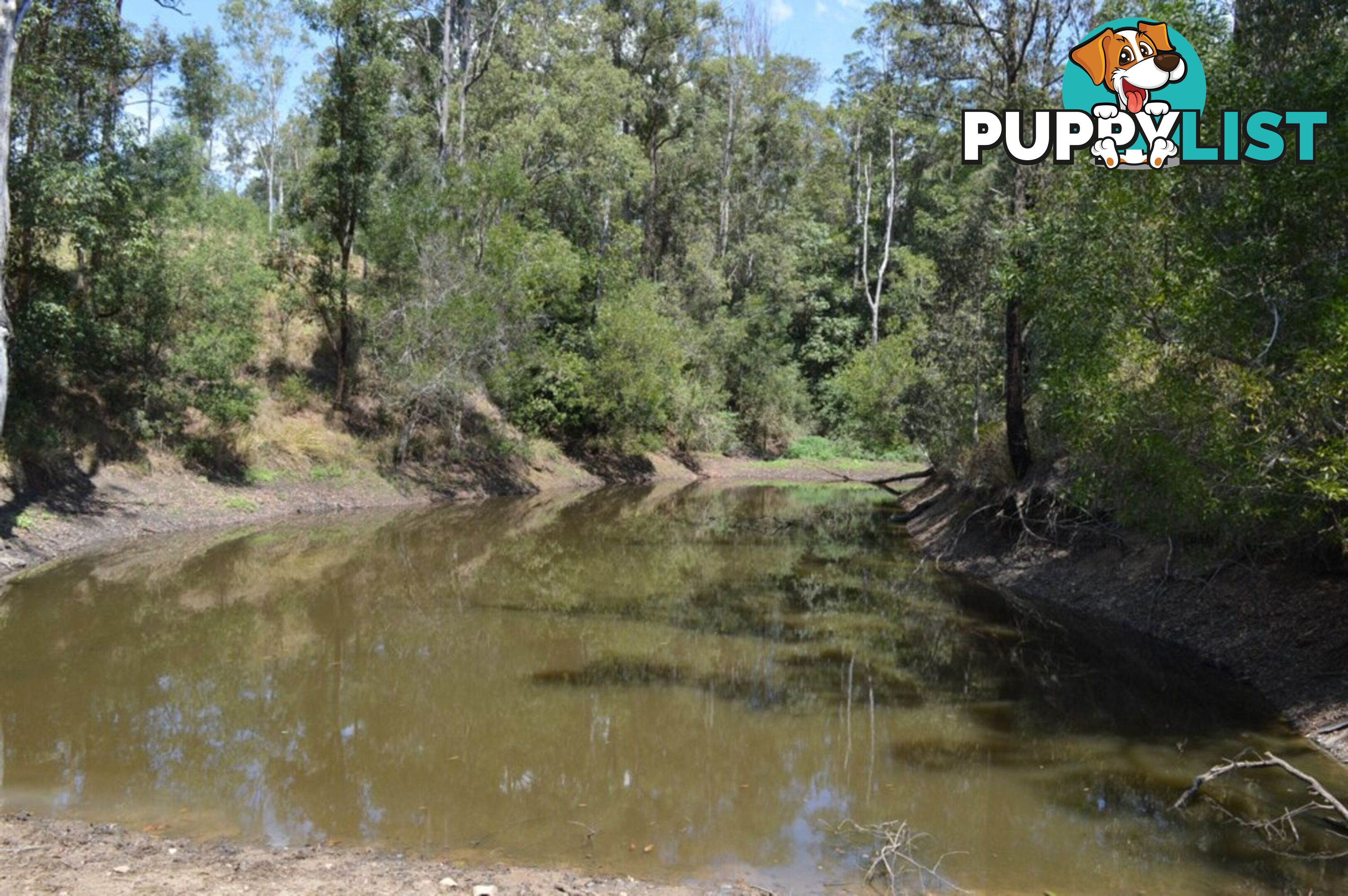 127 Appalossa Drive CONONDALE QLD 4552