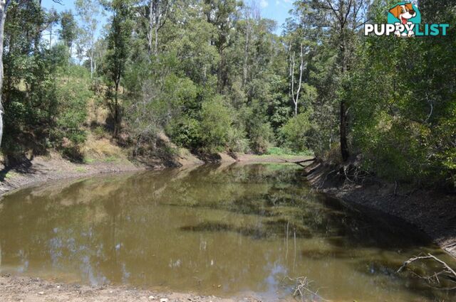 127 Appalossa Drive CONONDALE QLD 4552
