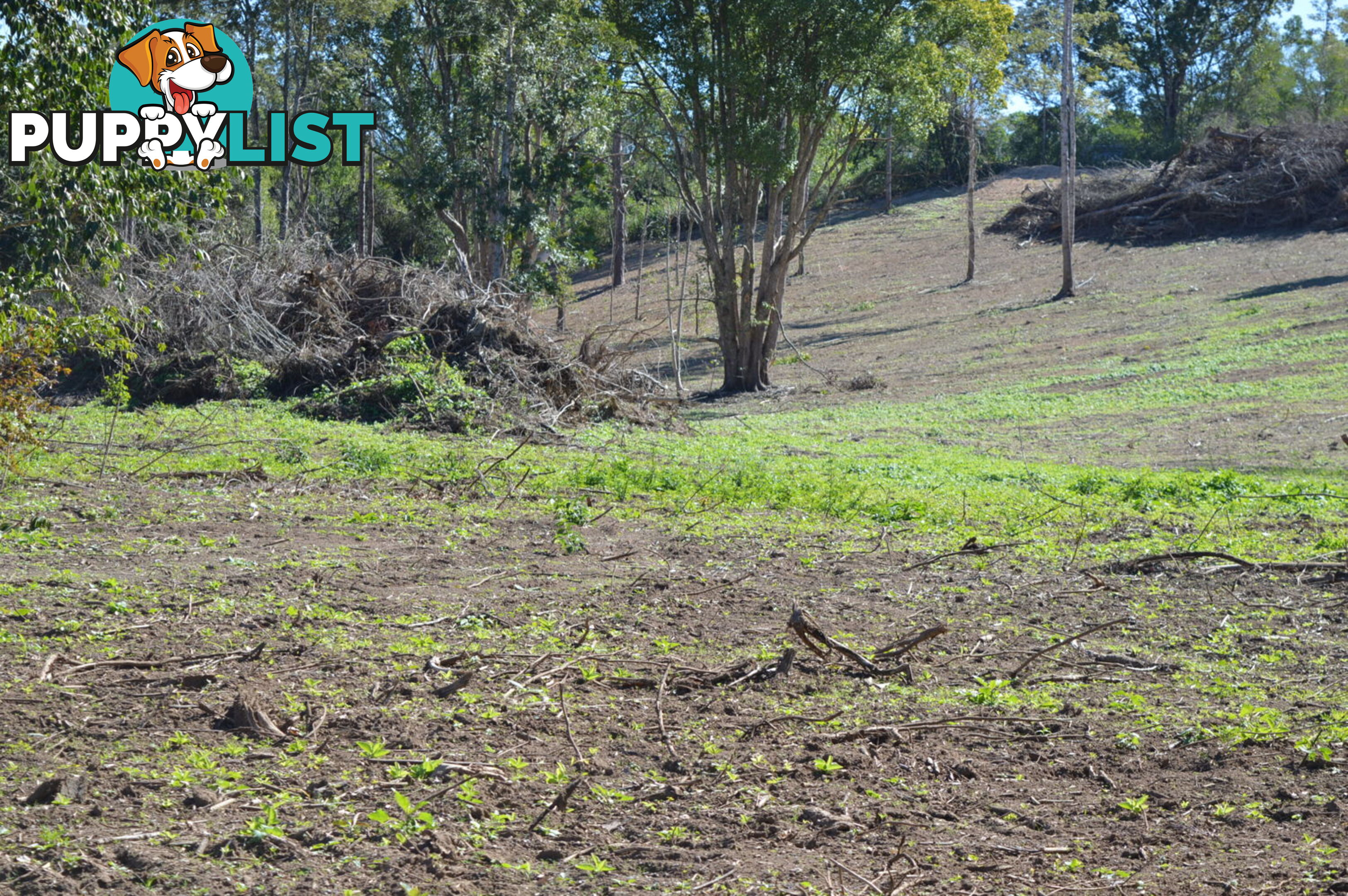 Lot 2 Hunsley Road KIDAMAN CREEK QLD 4574