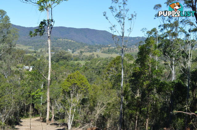 Lot 2 Hunsley Road KIDAMAN CREEK QLD 4574