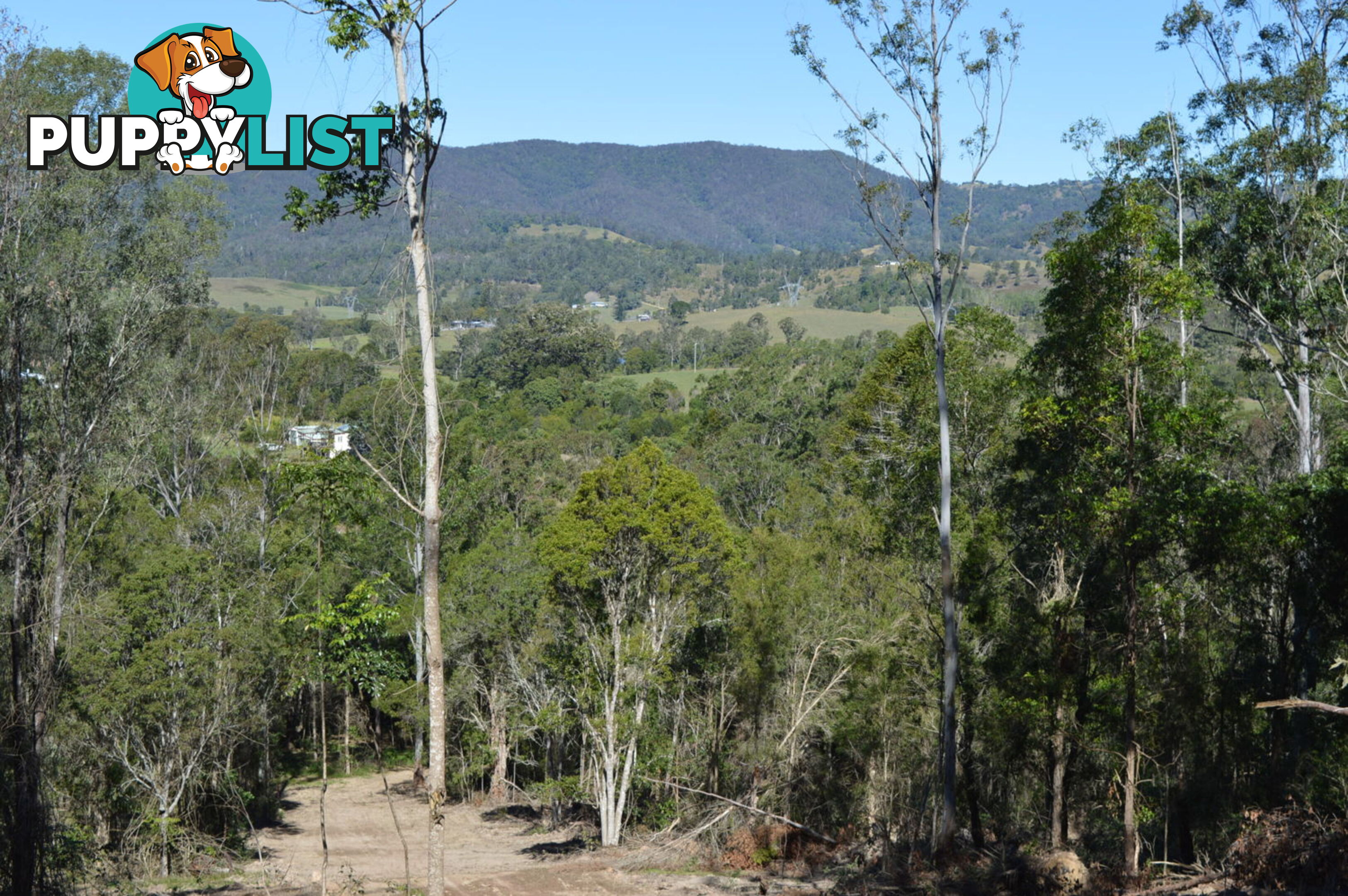 Lot 2 Hunsley Road KIDAMAN CREEK QLD 4574