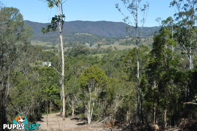 Lot 2 Hunsley Road KIDAMAN CREEK QLD 4574