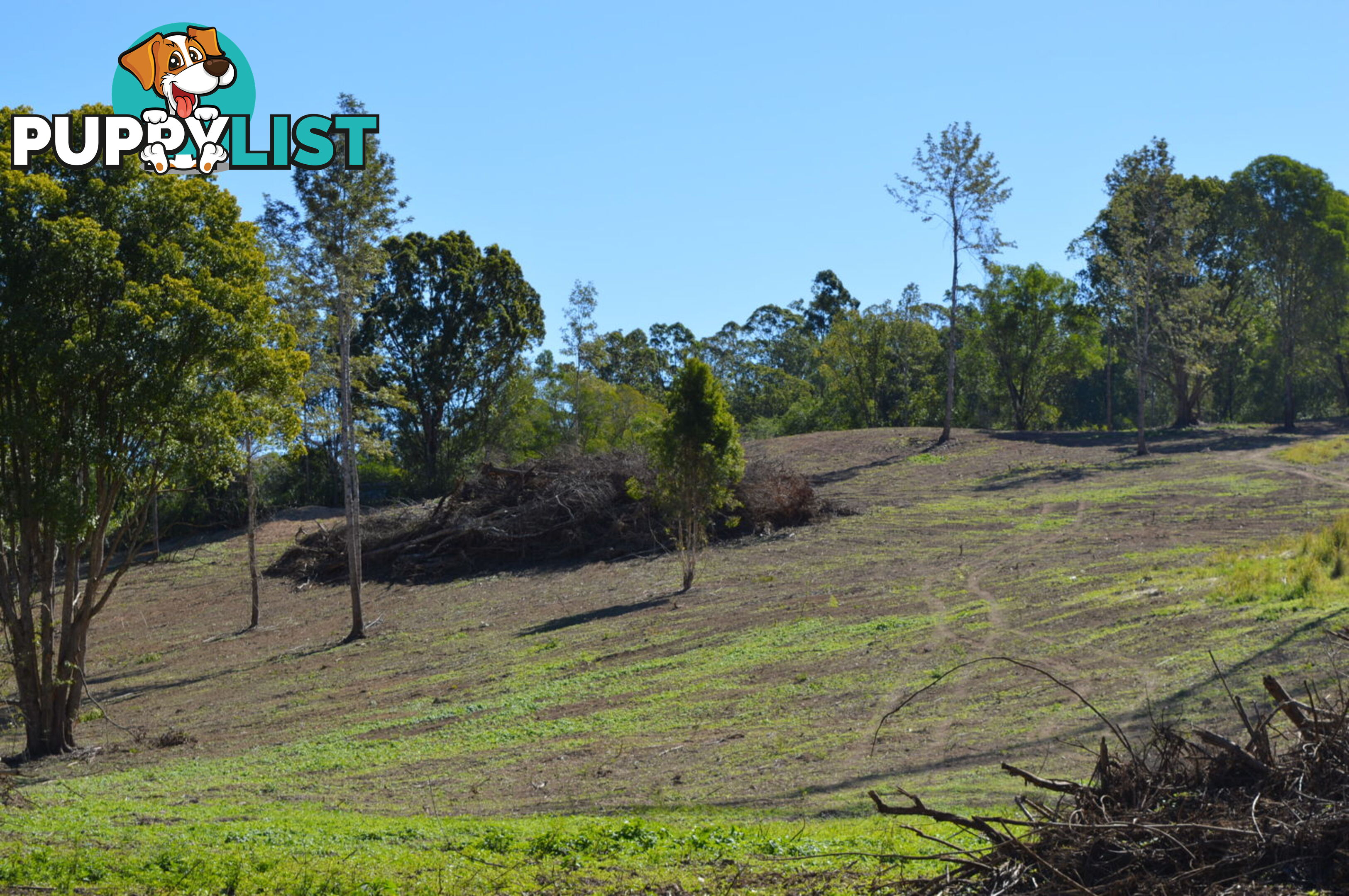 Lot 2 Hunsley Road KIDAMAN CREEK QLD 4574