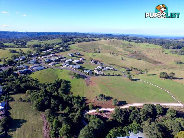 MALENY QLD 4552