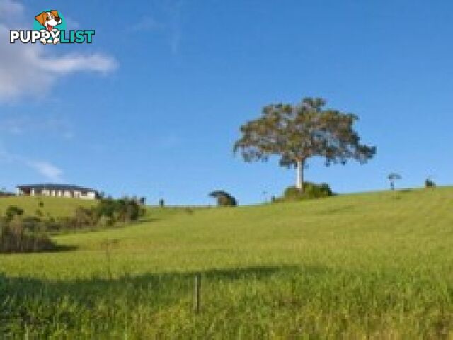 MALENY QLD 4552