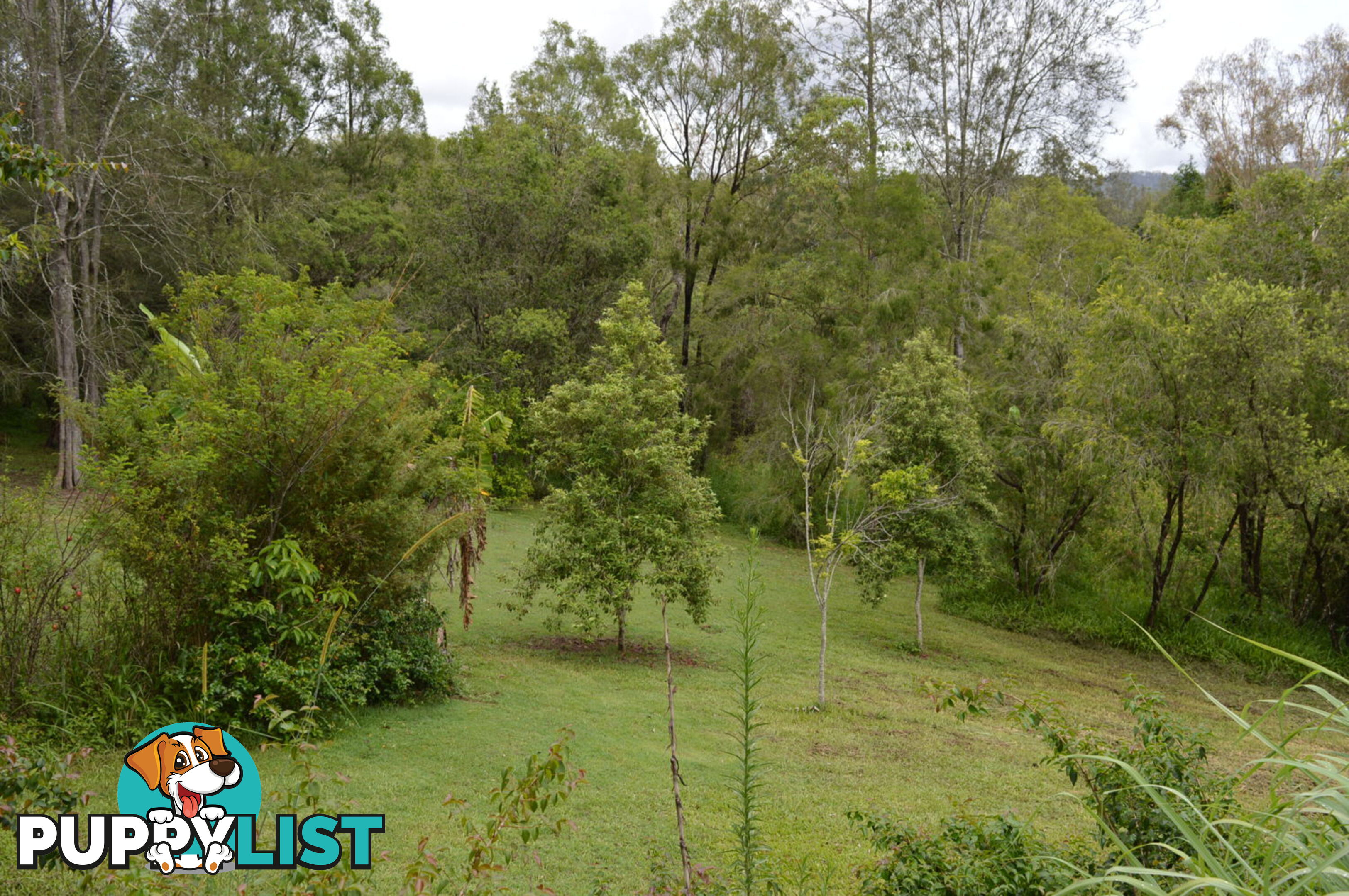 51/65 Kilcoy Lane CONONDALE QLD 4552