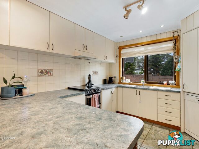 99 Saunders Street WYNYARD TAS 7325