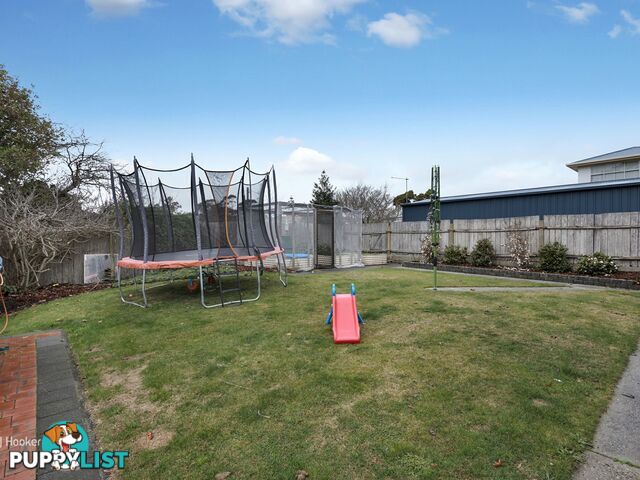 99 Saunders Street WYNYARD TAS 7325