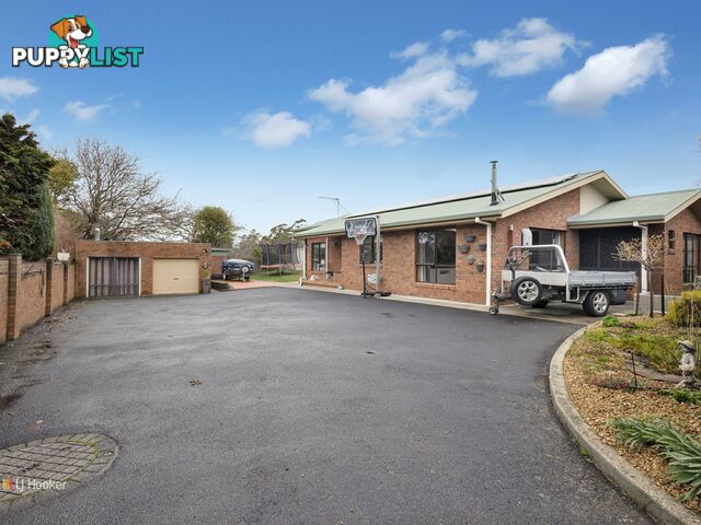 99 Saunders Street WYNYARD TAS 7325