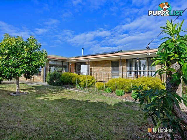 1091 Murchison Highway ELLIOTT TAS 7325