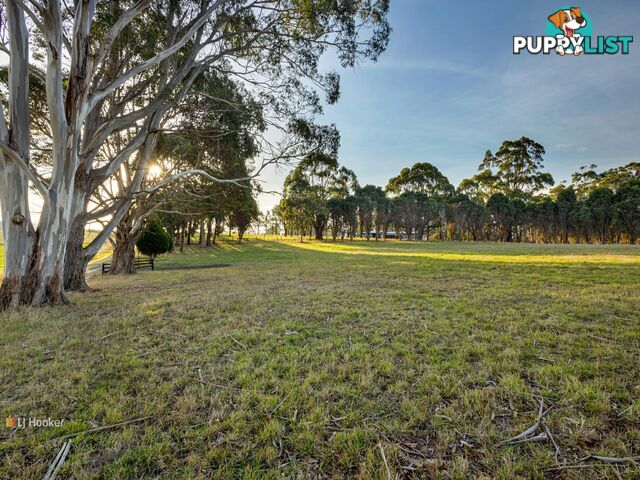 Lot 1/53 Aldersons Road WYNYARD TAS 7325