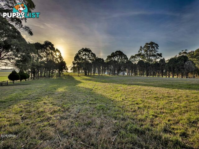 Lot 1/53 Aldersons Road WYNYARD TAS 7325