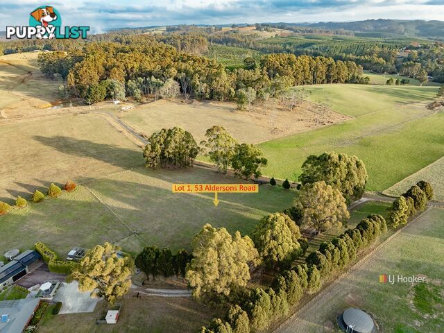 Lot 1/53 Aldersons Road WYNYARD TAS 7325