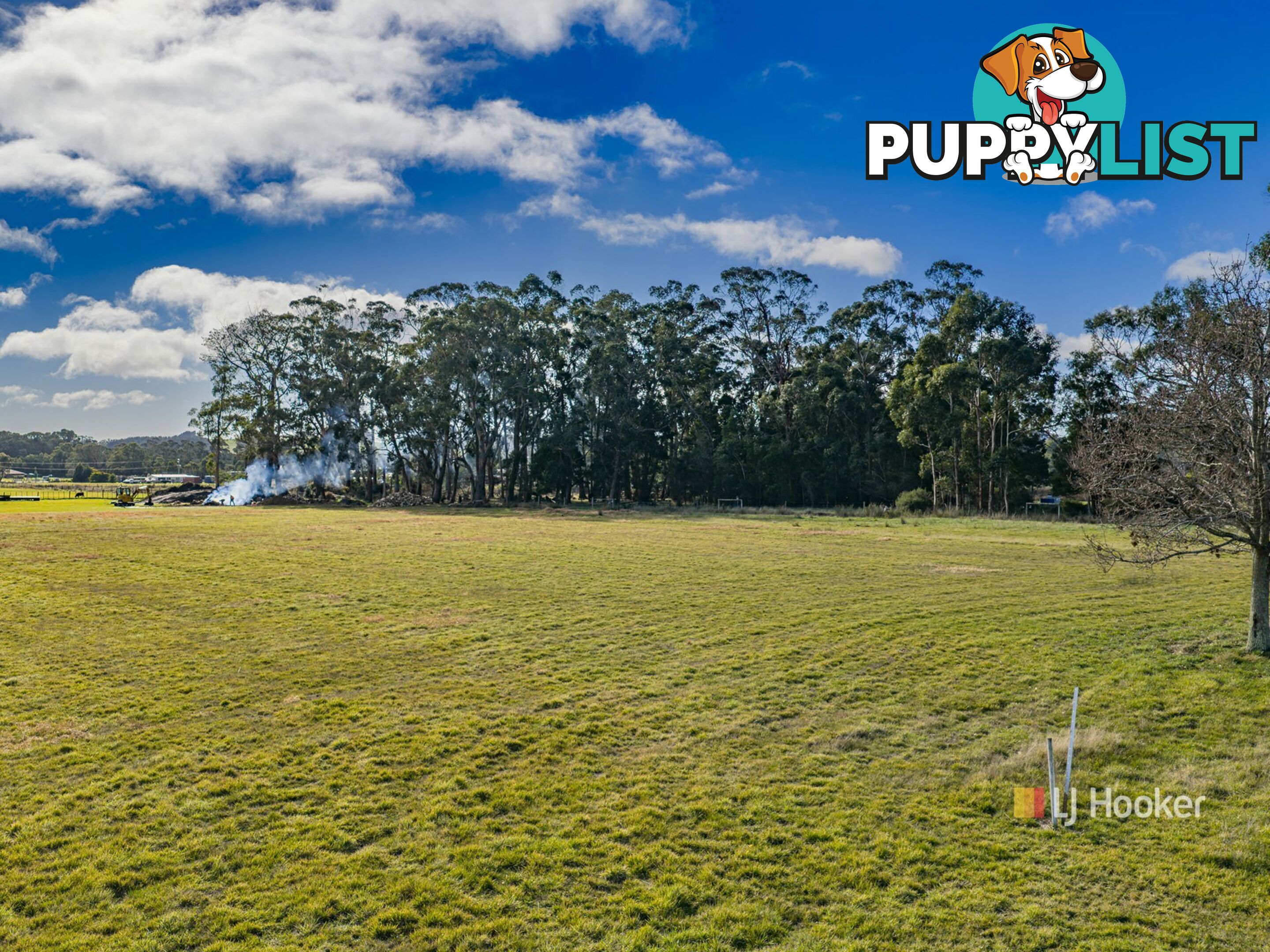 48 Graylyn Lane WYNYARD TAS 7325