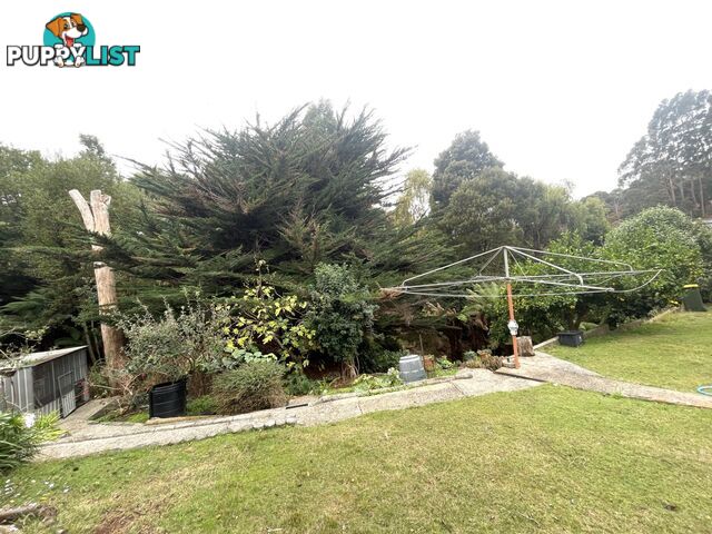 8 Aileen Crescent HILLCREST TAS 7320