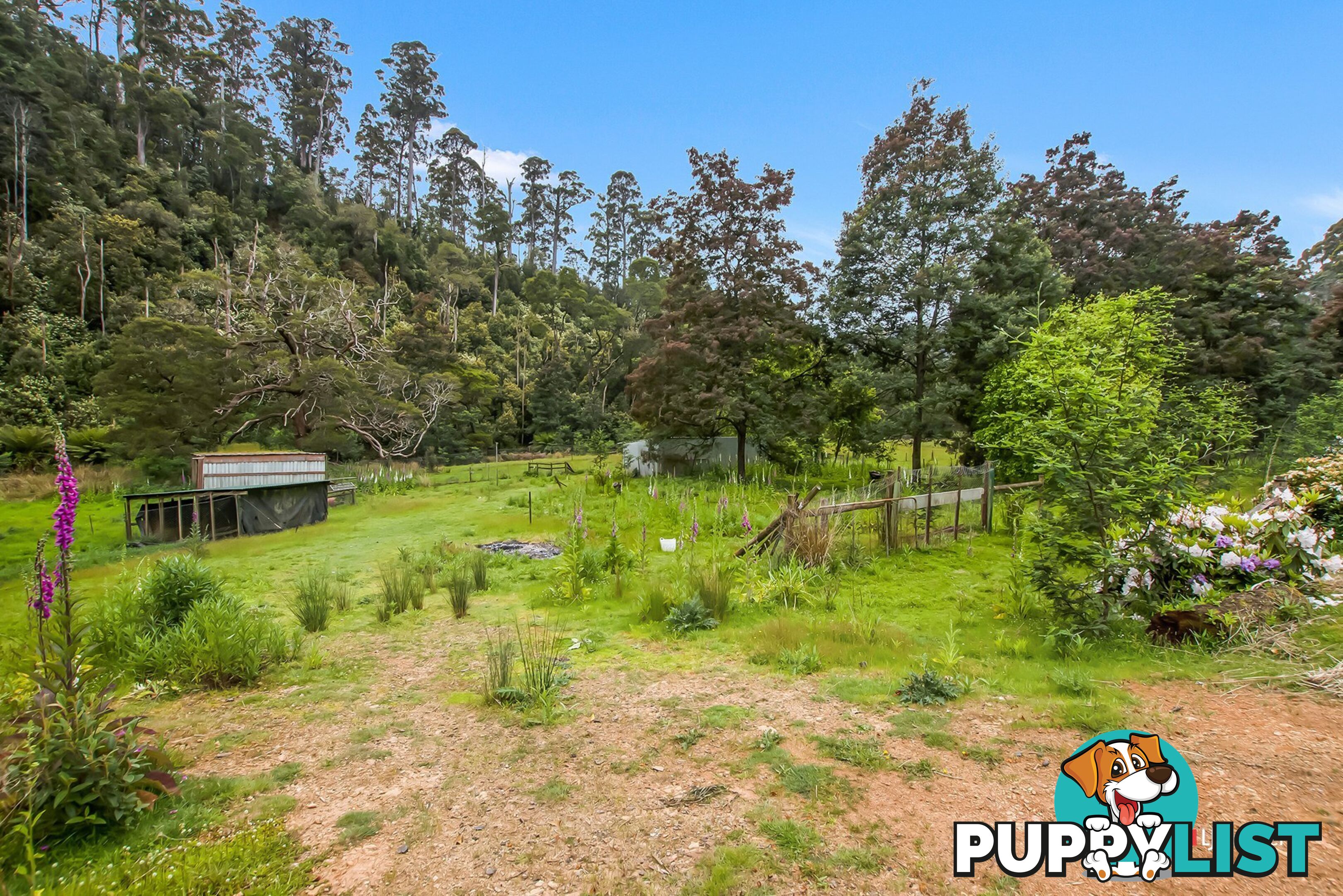 149 Bassetts Road CALDER TAS 7325