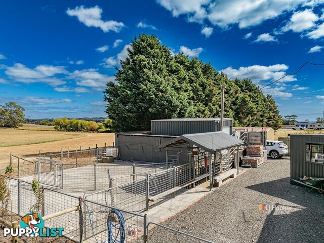 118 Mount Hicks Road WYNYARD TAS 7325