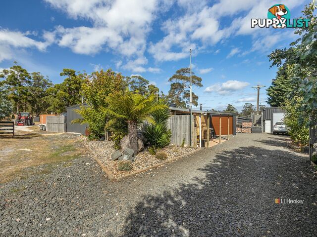 118 Mount Hicks Road WYNYARD TAS 7325