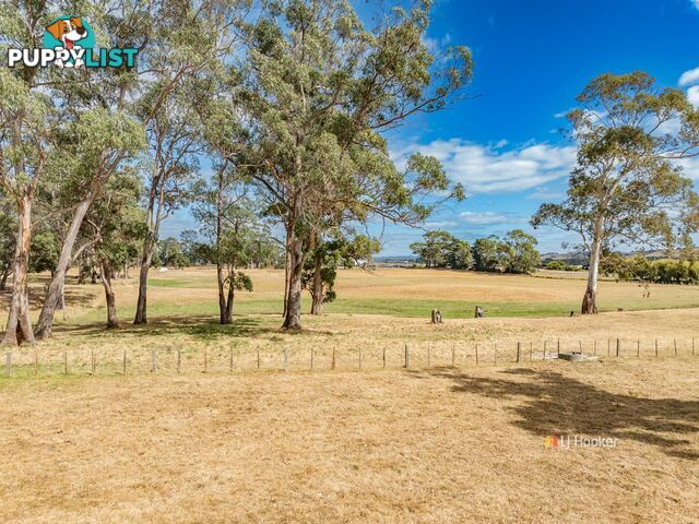 118 Mount Hicks Road WYNYARD TAS 7325