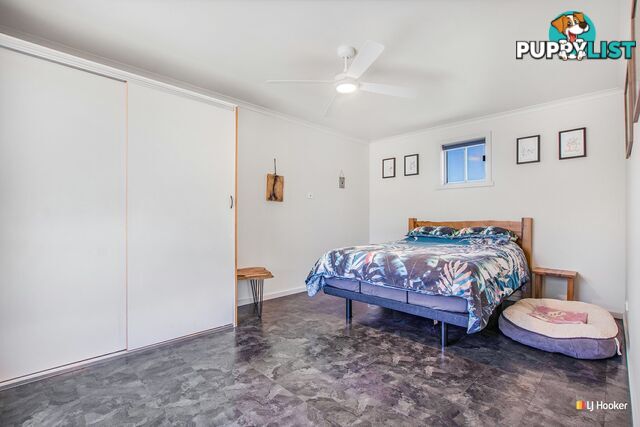 29 York Street WYNYARD TAS 7325